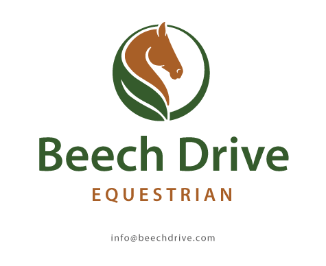 Beech Drive Equestrian - Irish Sport Horses